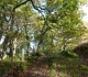 Cysgod Bach Self Catering Cottage for 2