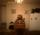 Pen Y Banc Sarnau, Bala. Sleeps six.  £120-£145 per nigtht min 3 nights. Trickle ECP. Dog Free.